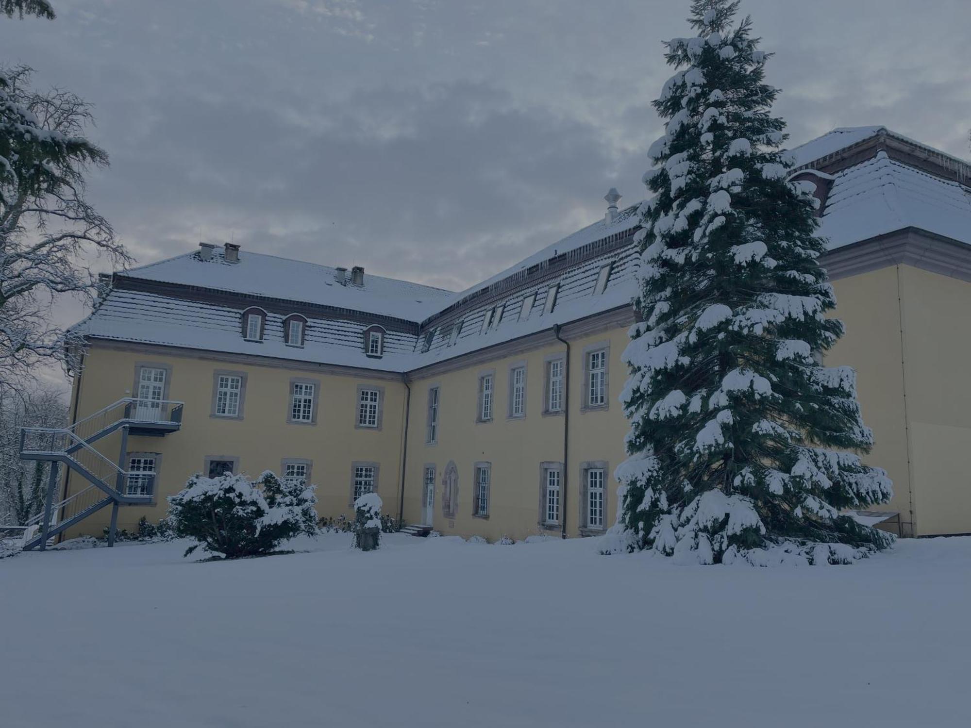 Hotel Schloss Hoehnscheid Bad Arolsen Exteriér fotografie